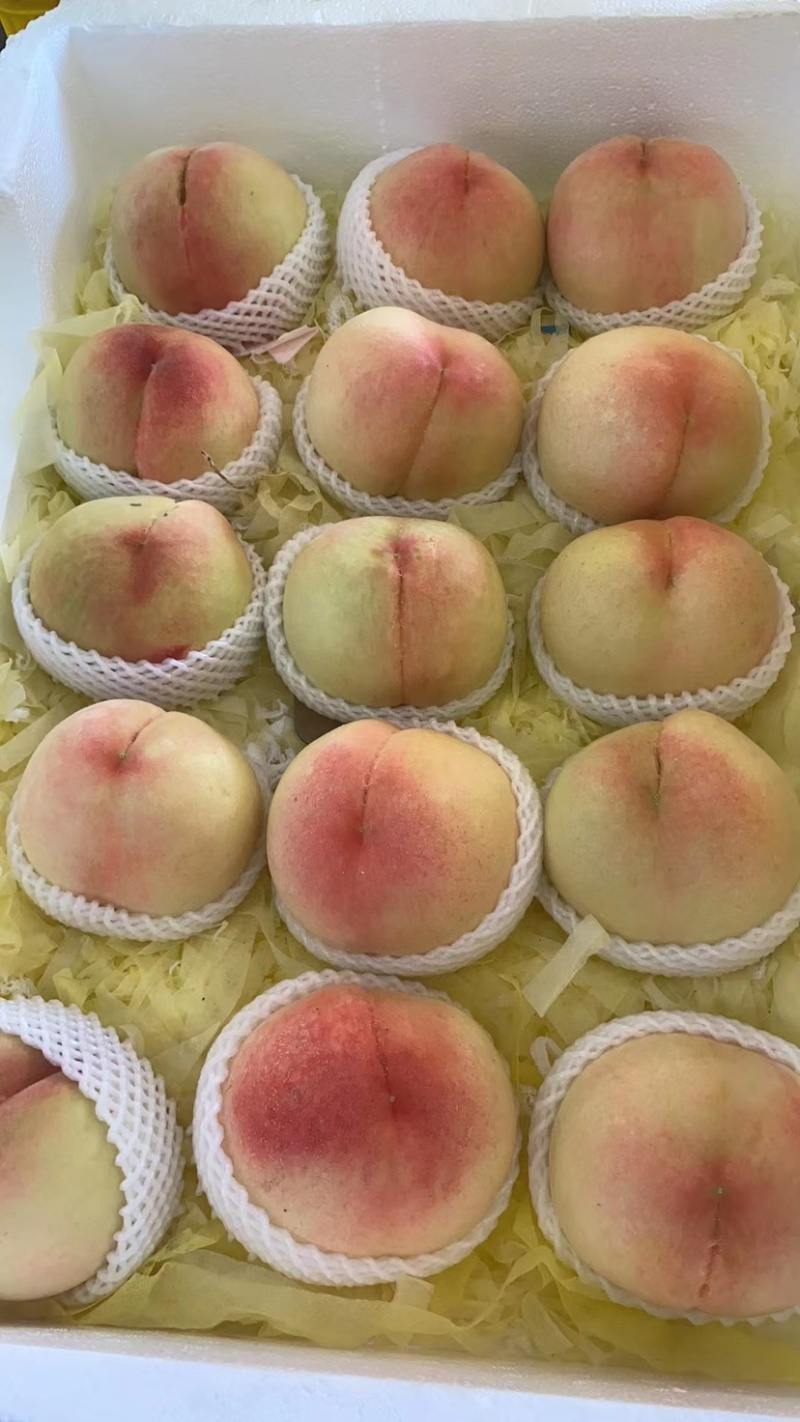 无锡阳山水蜜桃、一件代发、批发、团购、货源稳定、长期供货