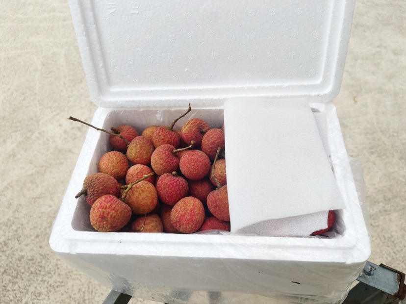 展示装在玻璃罐中、层次分明的白糖泡柠檬成品 白糖泡柠檬成品图