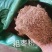 红枣粉