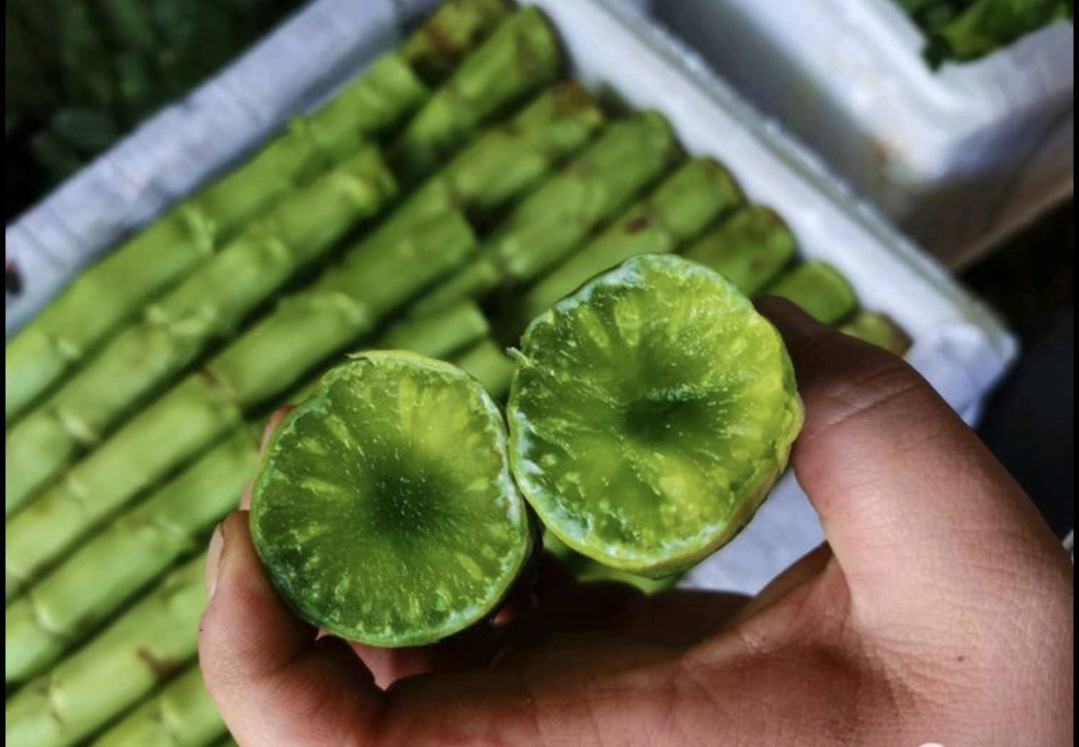 红皮莴笋与绿皮莴笋对比图