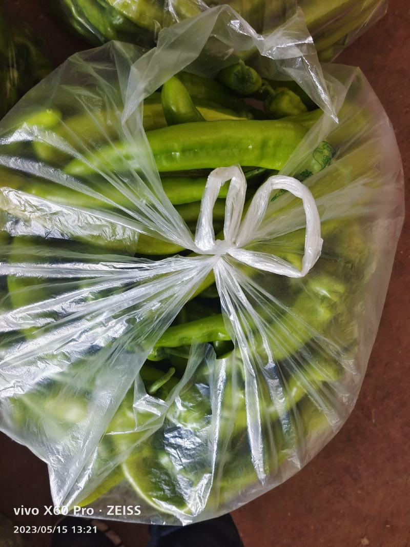 精神西红柿上市了，价格低迷