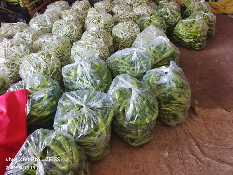 精神西红柿上市了，价格低迷