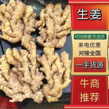 《精品大黄姜》大量批发电商市场超市全国发货