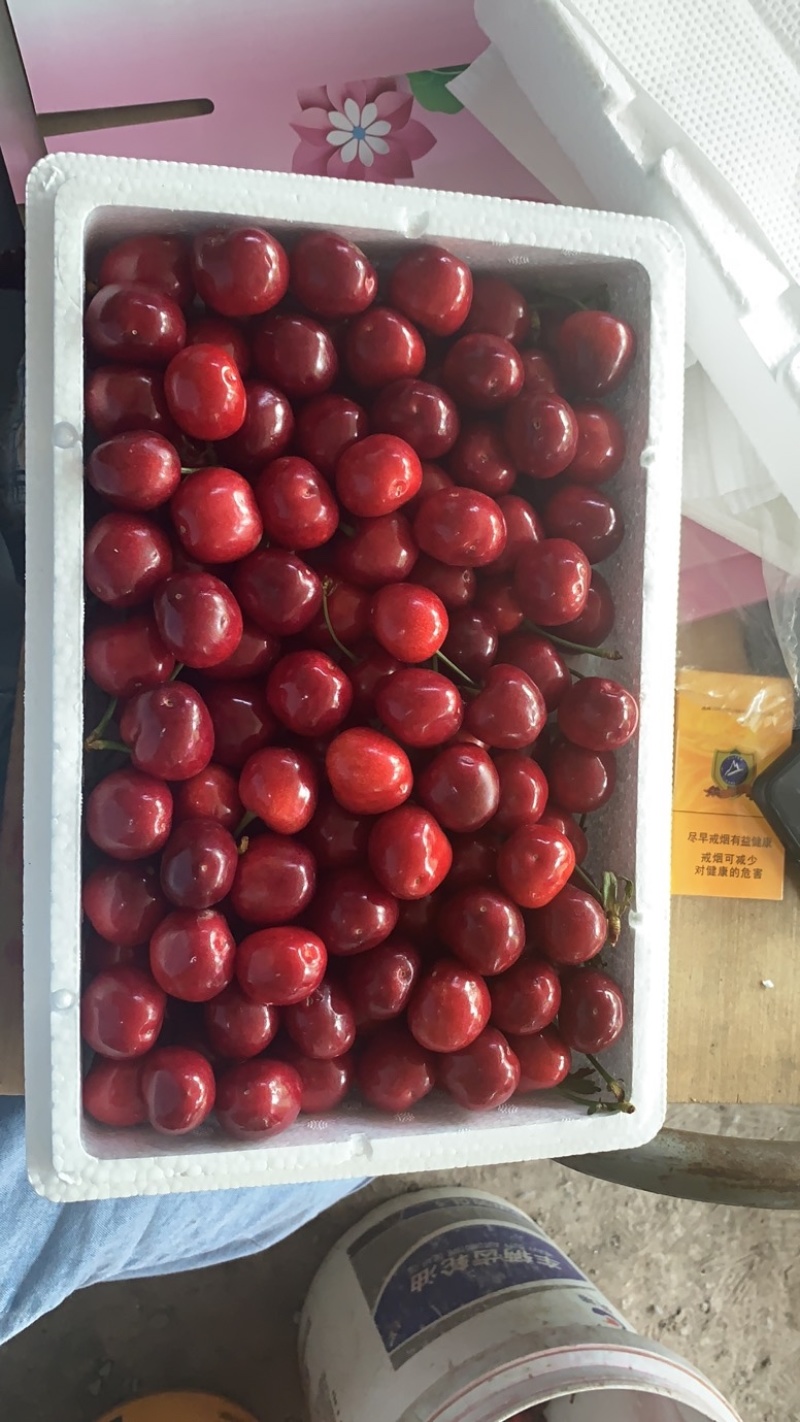 万亩樱桃基地买樱桃找我