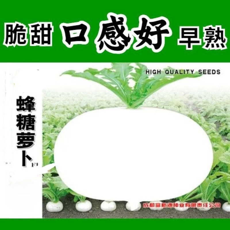 早熟蜂糖萝卜种子秋季蔬菜种子
