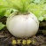 早熟蜂糖萝卜种子秋季蔬菜种子
