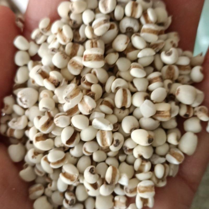 薏仁，新货无杂，药食两用，全国发货，支持在线下单