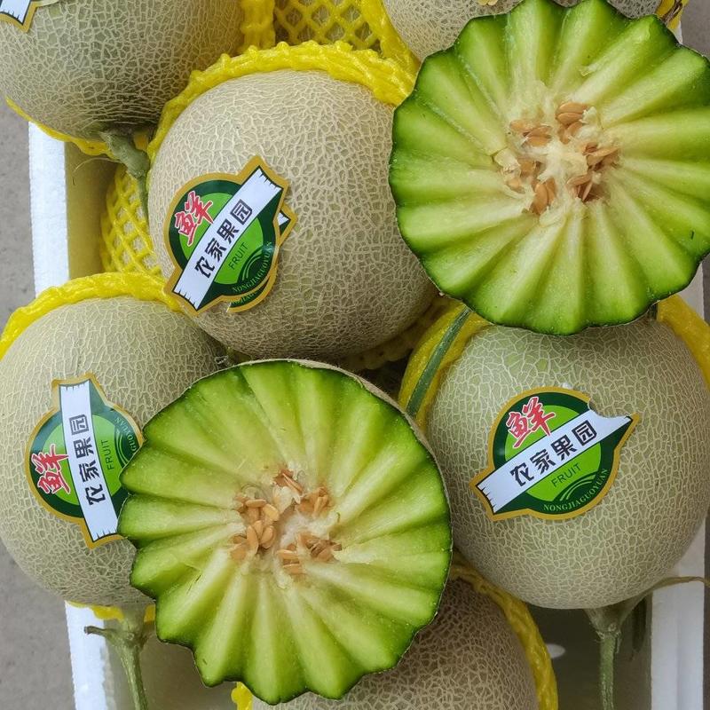 莘县香瓜之乡的网纹瓜大量上市，口感软糯香甜可口，质量保证