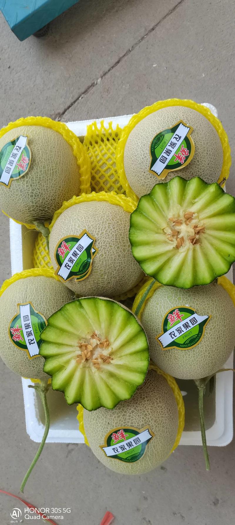 莘县香瓜之乡的网纹瓜大量上市，口感软糯香甜可口，质量保证