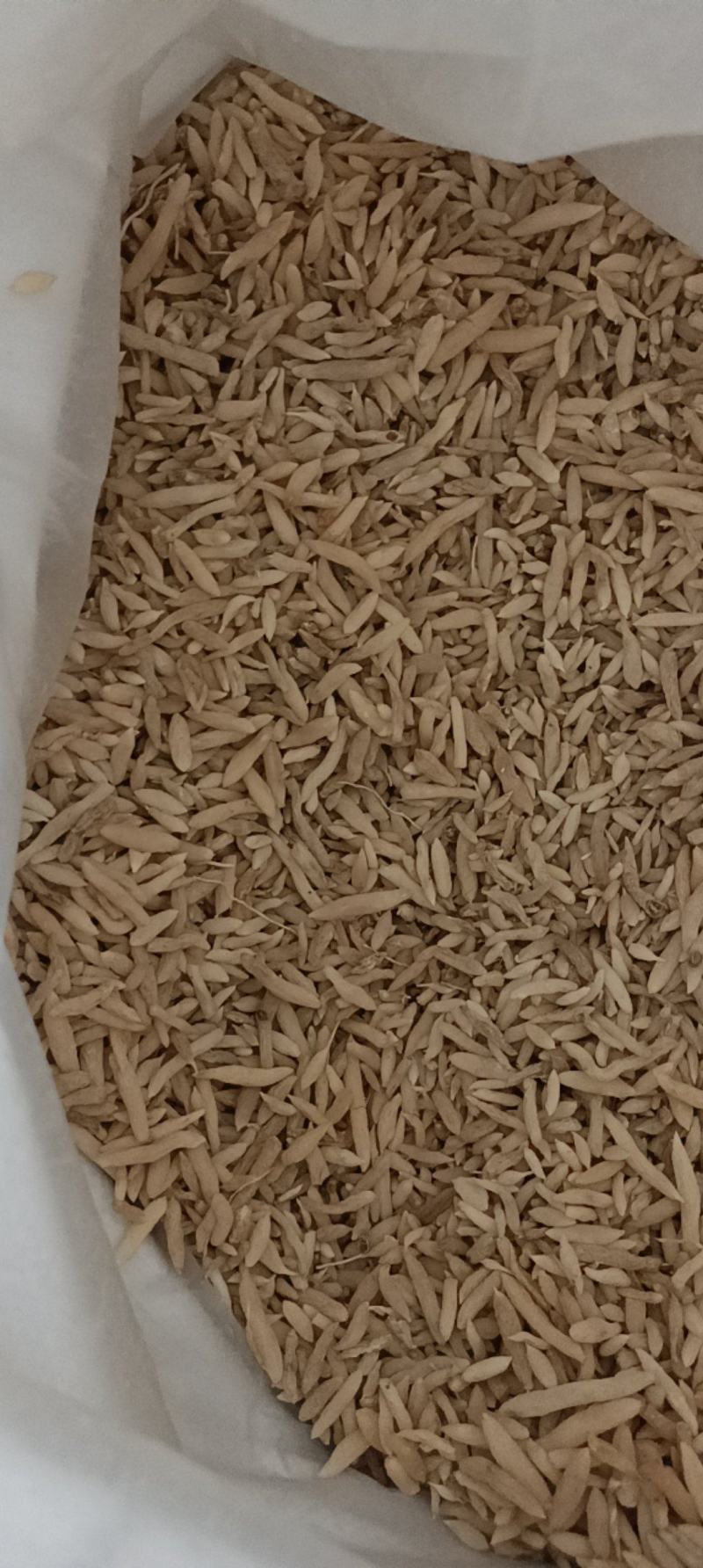 中药材特级麦冬无硫野生正品麦门冬茶散装新鲜干货清仓包