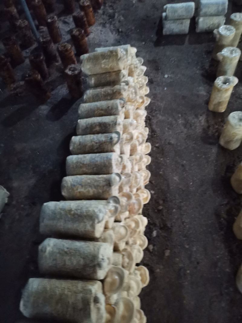 原产地河北石家槐耳菌种批发，全国发货，可议价，视频看货
