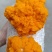 干金耳和新鲜