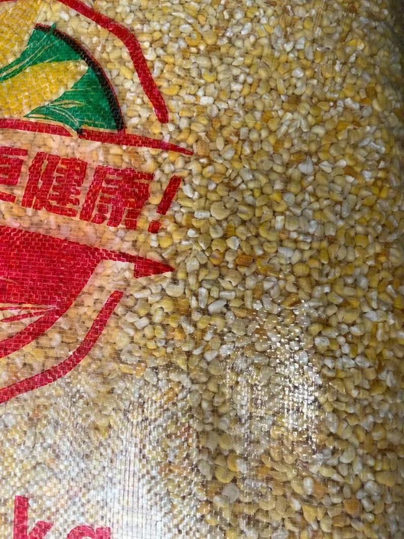 东北黄糯玉米糁粘玉米碴子五谷杂粮黏玉米渣