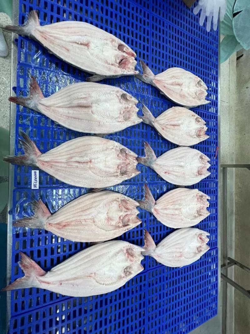 巴沙鱼