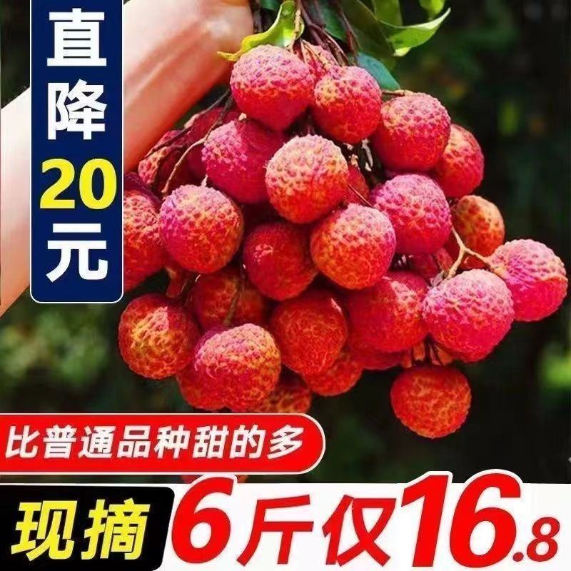 广东海南福建荔枝妃子笑黑叶桂味荔一件代发代办团购整车供应