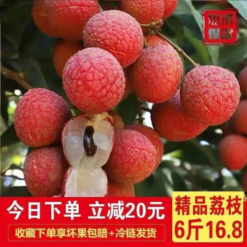广东海南福建荔枝妃子笑黑叶桂味荔一件代发代办团购整车供应