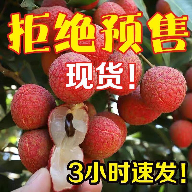 广东海南福建荔枝妃子笑黑叶桂味荔一件代发代办团购整车供应
