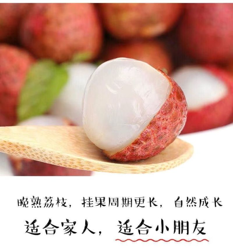 广东海南福建荔枝妃子笑黑叶桂味荔一件代发代办团购整车供应