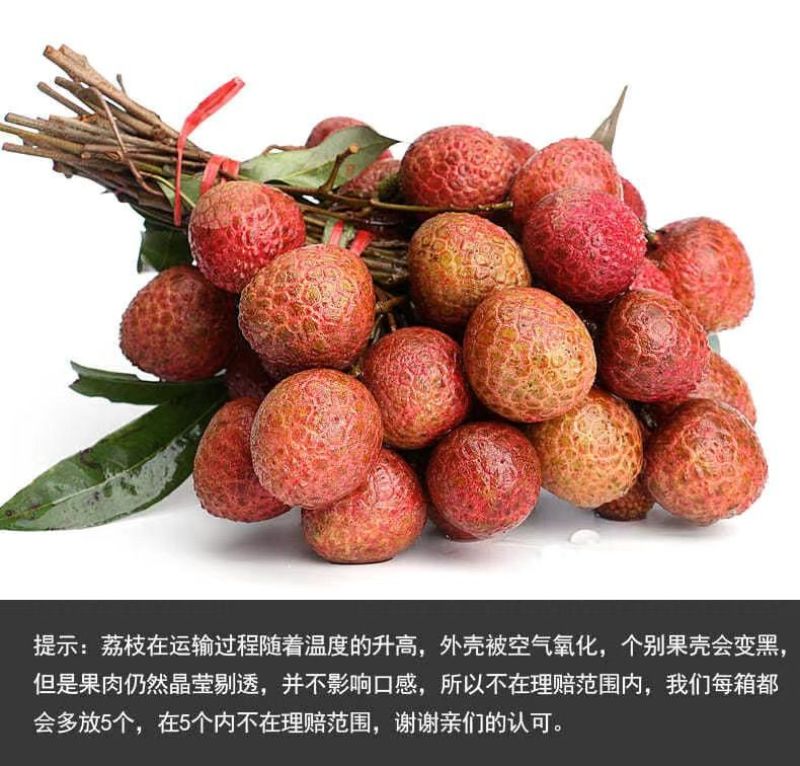 广东海南福建荔枝妃子笑黑叶桂味荔一件代发代办团购整车供应