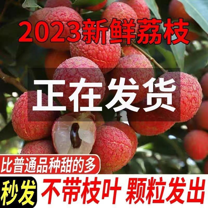 广东海南福建荔枝妃子笑黑叶桂味荔一件代发代办团购整车供应
