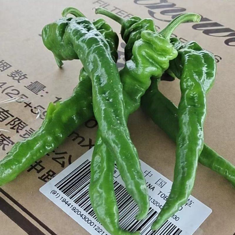 螺丝椒