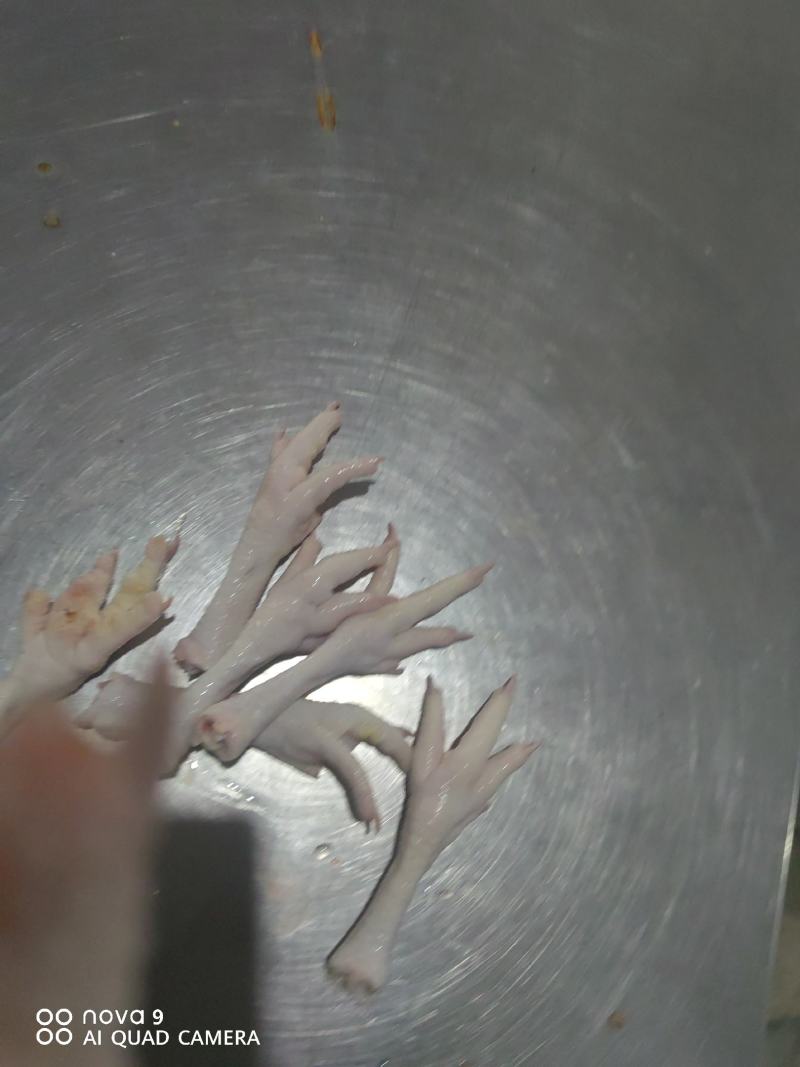 老鸡鸡翅，老鸡鸡全翅，翅翅均匀，色泽漂亮
