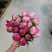 中国牡丹之都菏泽正宗精品芍药红茶花欢迎来电咨询