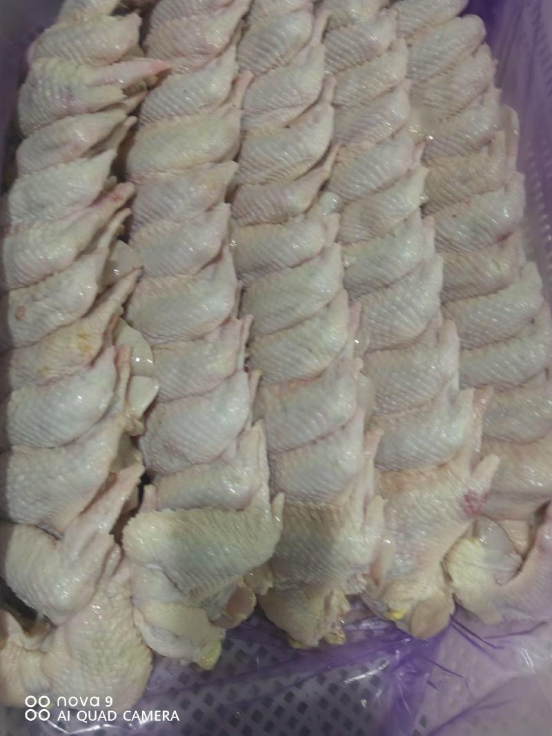 老鸡鸡翅，老鸡鸡全翅，翅翅均匀，色泽漂亮
