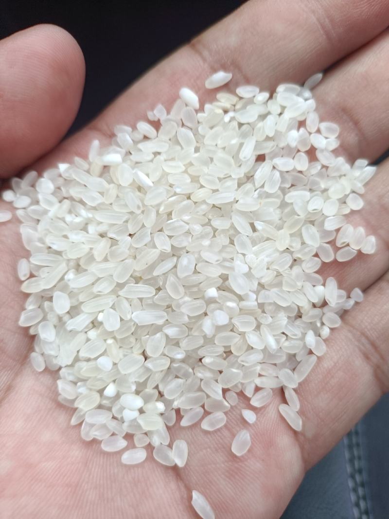 陈粮大米