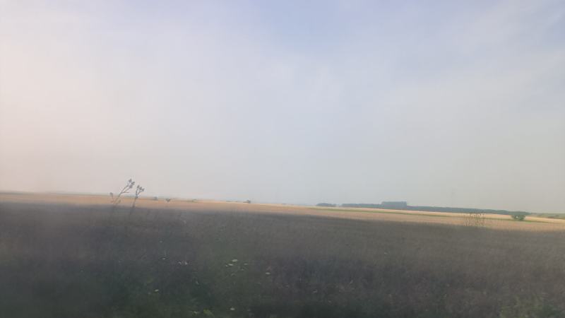 襄阳湿干小麦