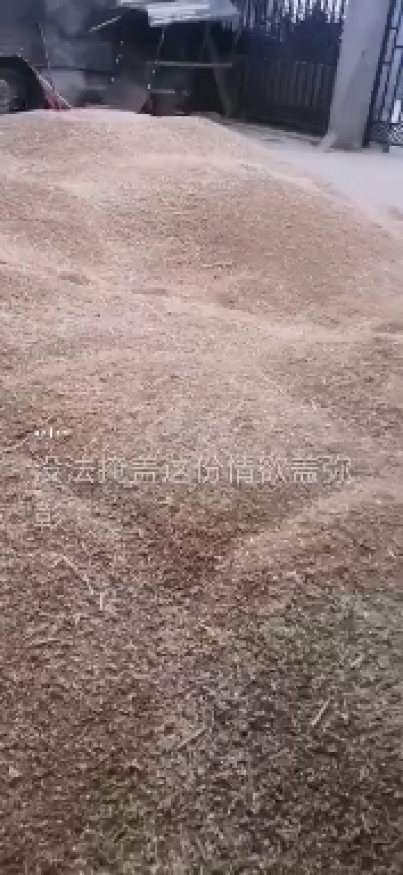 襄阳湿干小麦