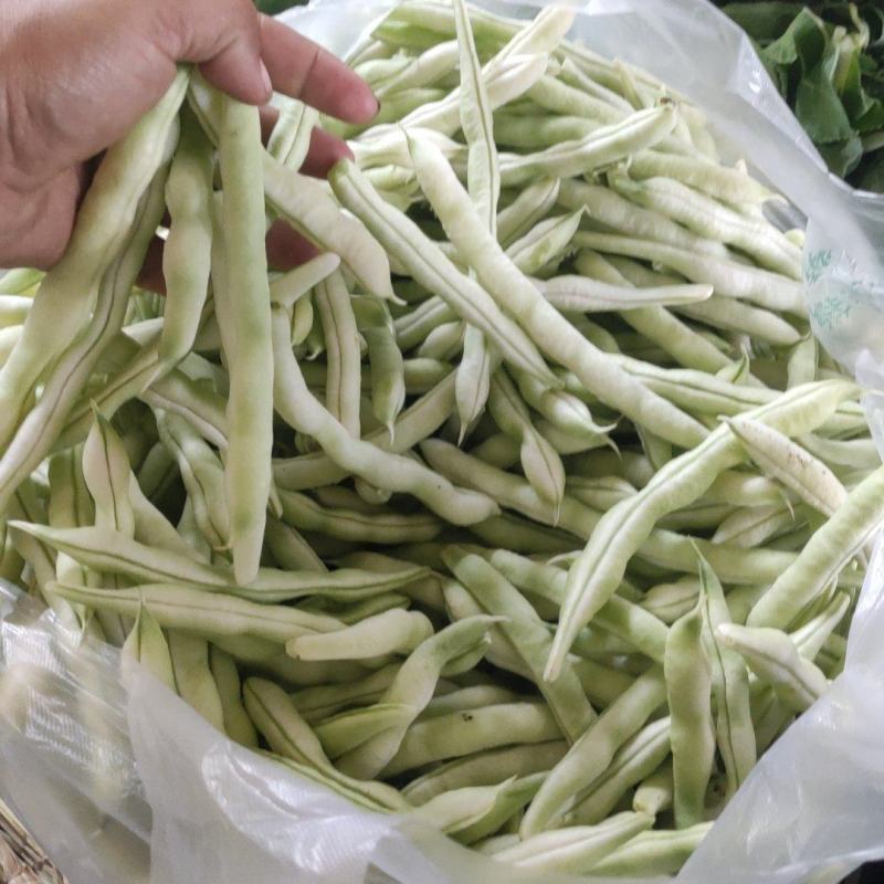芸豆