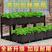 蔬菜种植箱种菜神器家庭阳台种菜盆楼顶特大号花箱长方形塑料