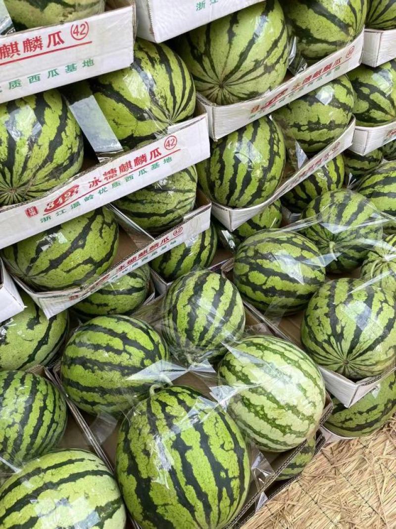 精品西瓜大量上市美都8424产地直发皮薄个大甜度高发全国