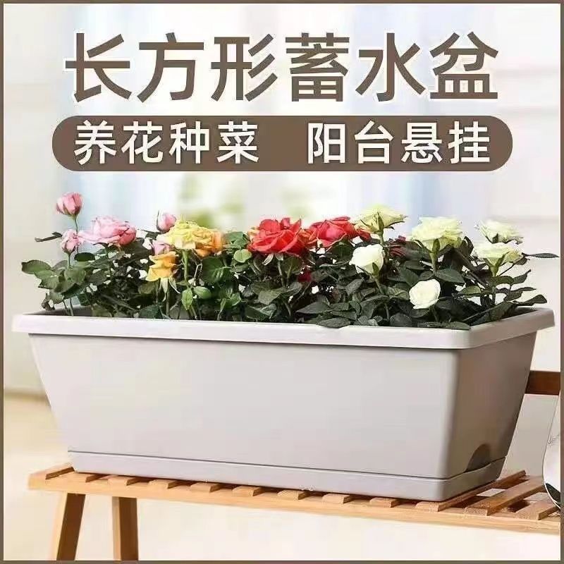 霍伦盆阳台种菜专用盆长方形花盆草莓蔬菜种植箱塑料花盆特价
