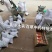 僵蚕产地四川大货供应一件代发代磨粉全国发货