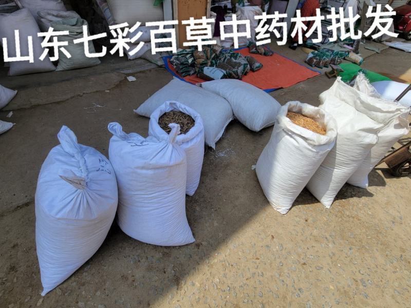 韭菜子韭菜籽韭子山东产地货源山东七彩百草