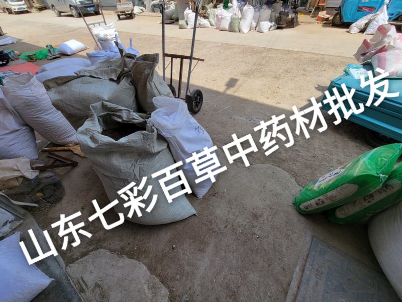 韭菜子韭菜籽韭子山东产地货源山东七彩百草