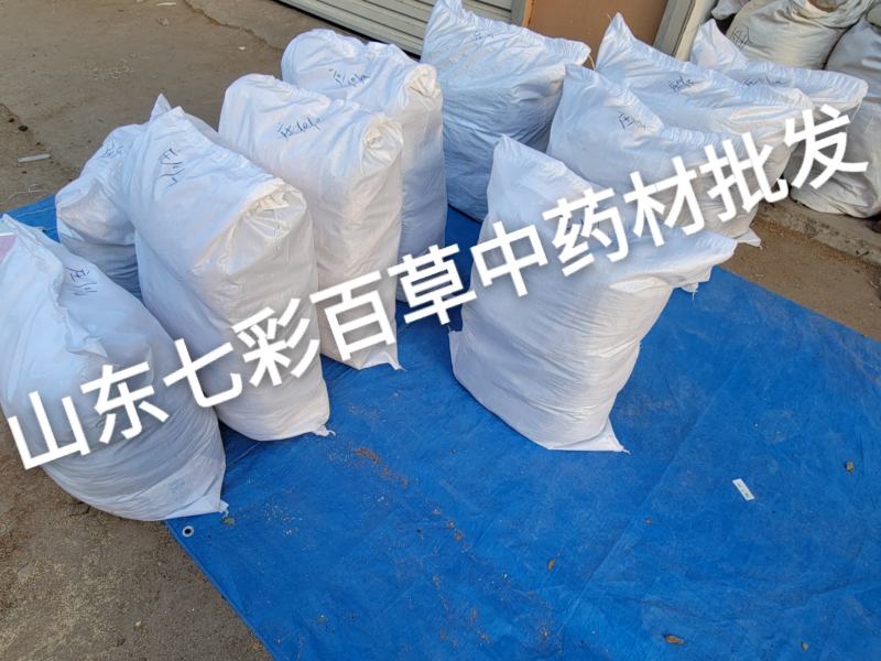 猫爪草水洗猫爪草河南产地货源山东七彩百草