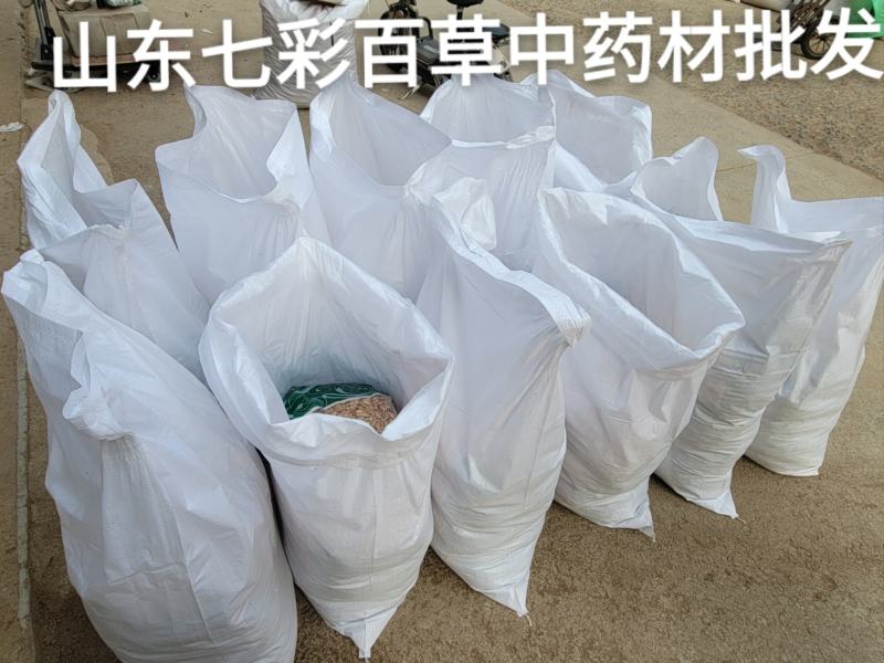 猫爪草水洗猫爪草河南产地货源山东七彩百草