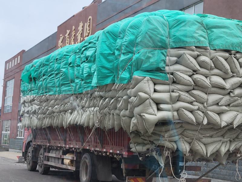 黑豆带皮内里青茬颗粒饱满黑龙江产地货源
