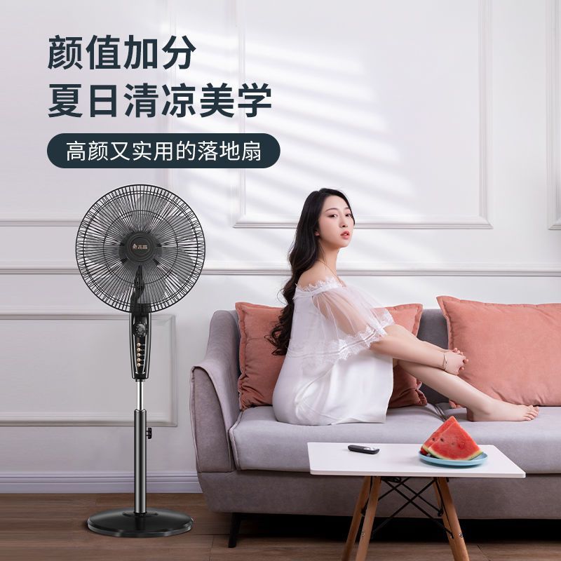 志高电风扇落地扇家用立式工业台式遥控扇宿舍摇头小风扇大风