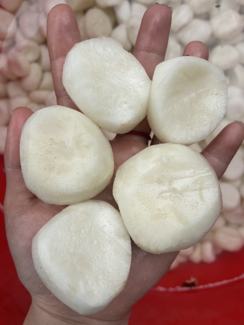 速冻马蹄丁做马蹄爆珠和狮子头的原料更是做饺子的灵魂伴侣。