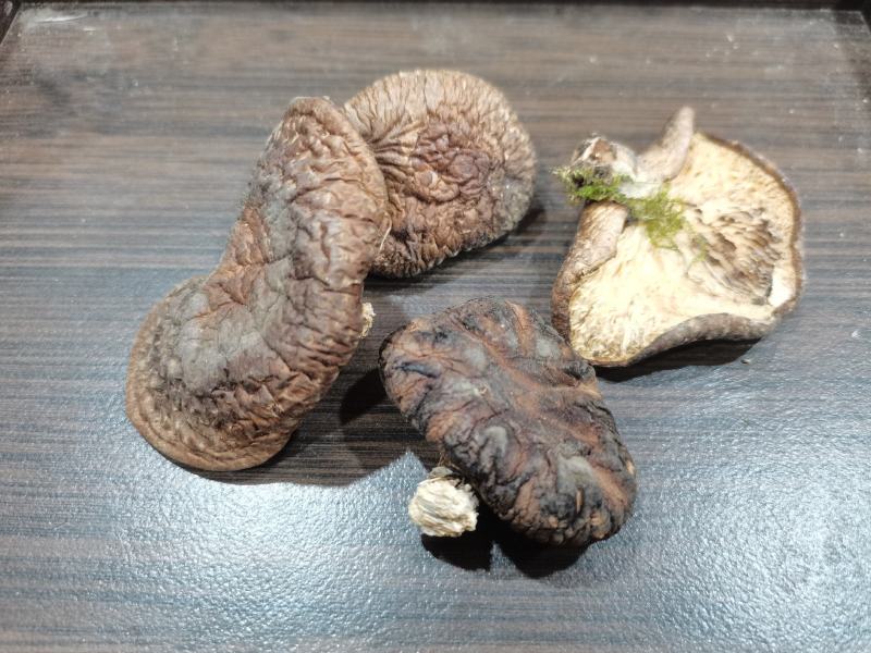 野生香菇干货，短柄。干度高。