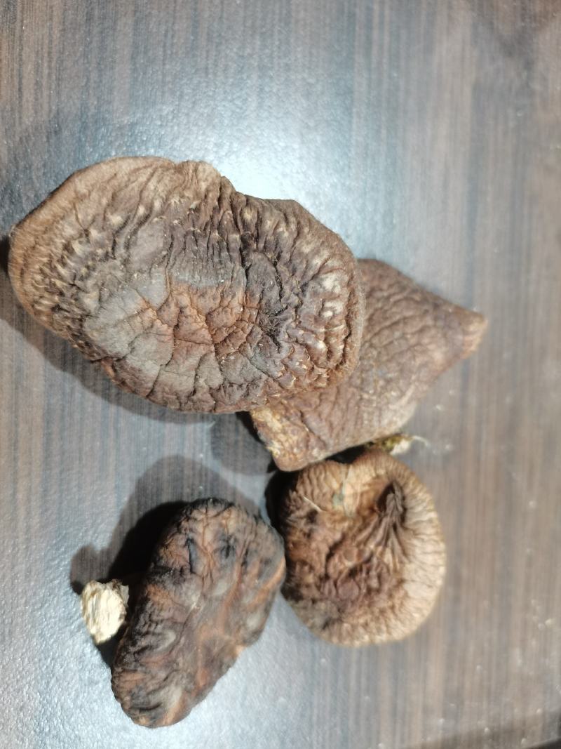 野生香菇干货，短柄。干度高。