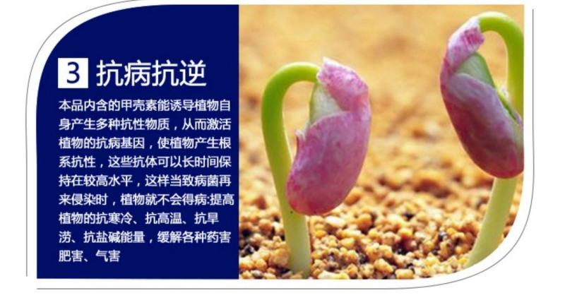 果力丰番茄草莓西瓜甜瓜葡萄膨大素防裂着色增甜膨果冲施肥