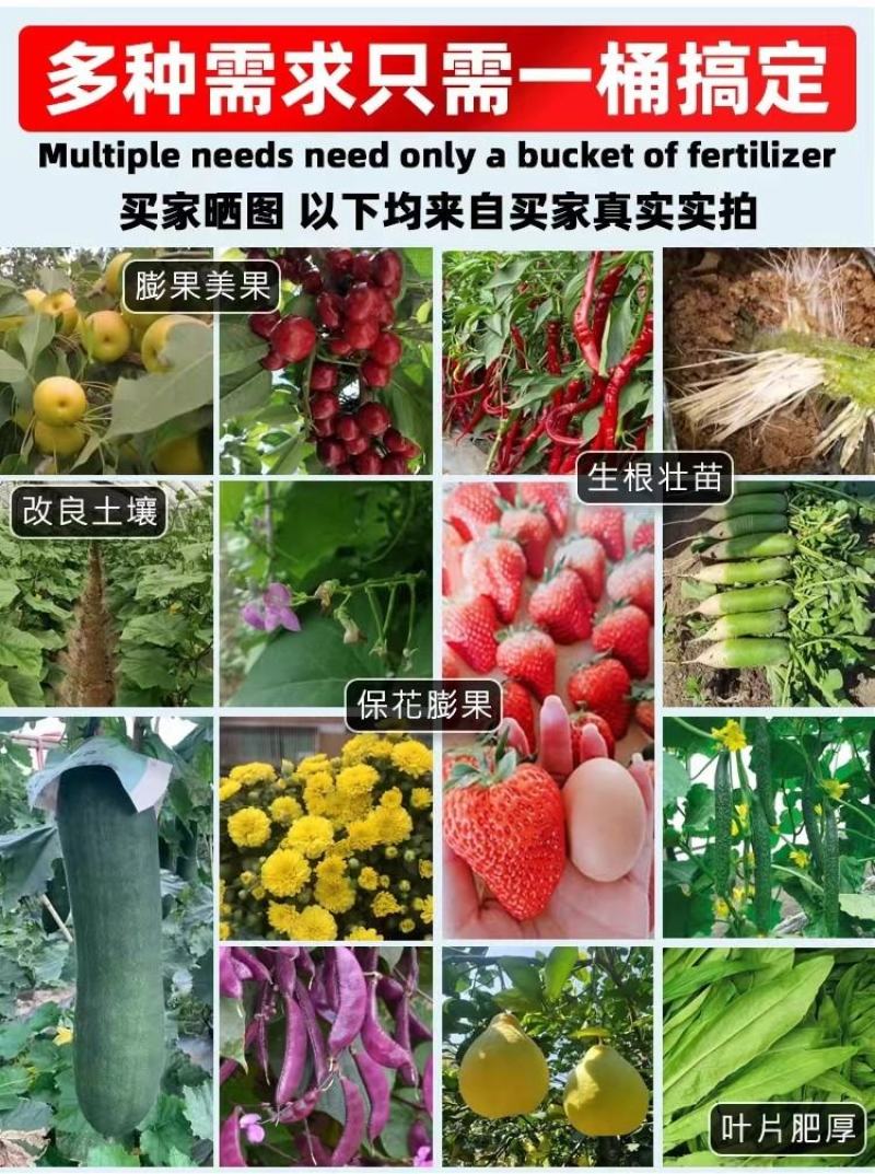 果力丰番茄草莓西瓜甜瓜葡萄膨大素防裂着色增甜膨果冲施肥