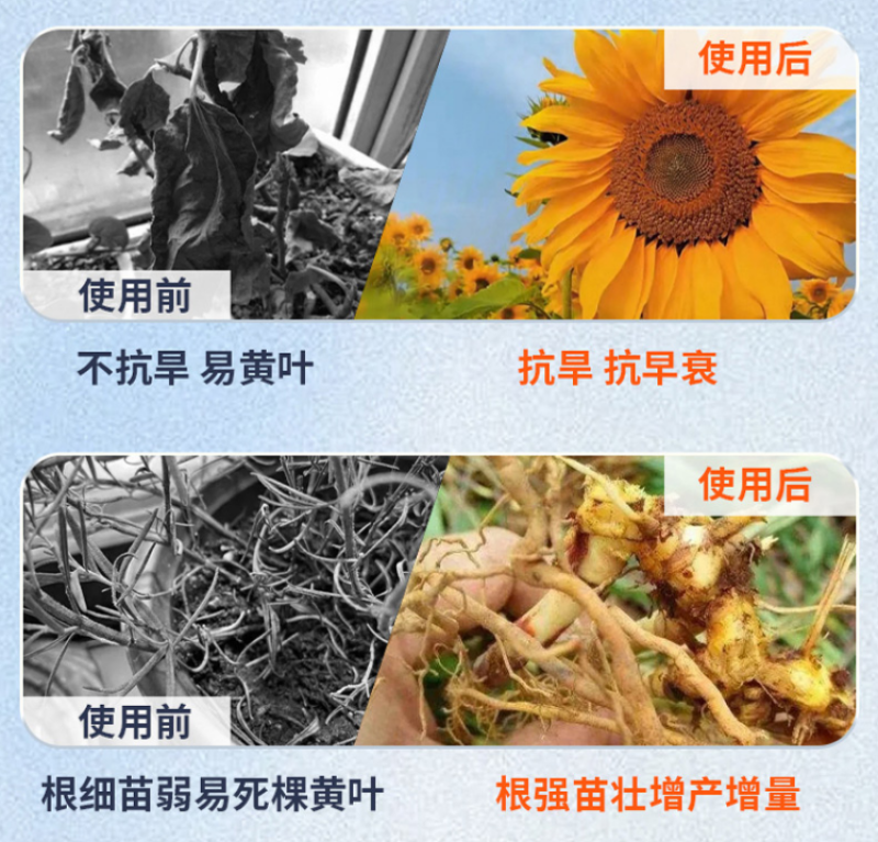 果力丰番茄草莓西瓜甜瓜葡萄膨大素防裂着色增甜膨果冲施肥