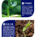 果力丰番茄草莓西瓜甜瓜葡萄膨大素防裂着色增甜膨果冲施肥