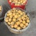 巴阳大5星大量上市